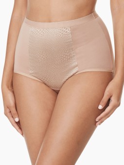 Warners® Tummy Smoothing Brief 3-Pack RS4433P